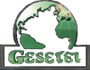 Logo GESETEL